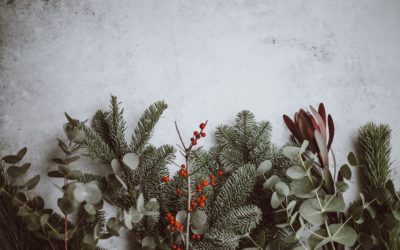 Merry Xmas … a special December snap