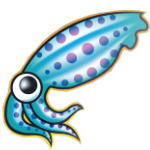 Squid
